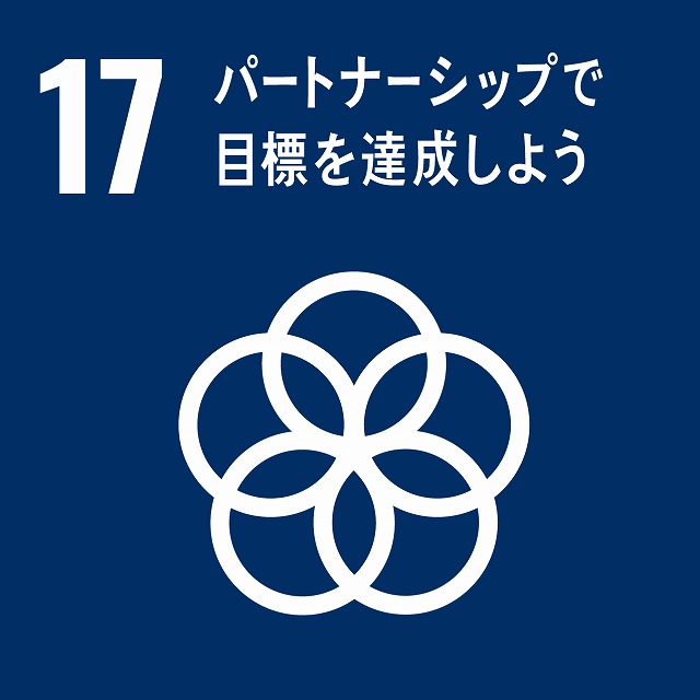17パートナーシップで目標を達成しよう 17パートナーシップで目標を達成しよう画像